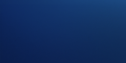 Executive Summary Background