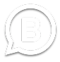 WhatsApp Business API
